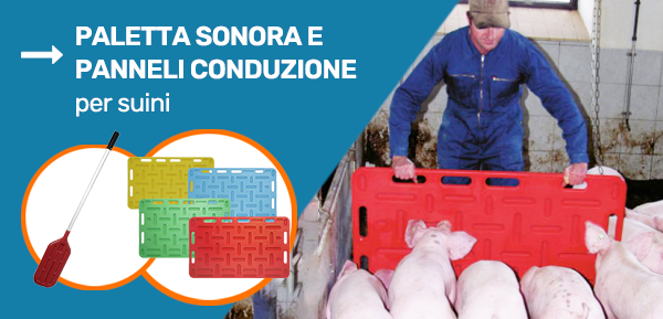 CONDUZIONE